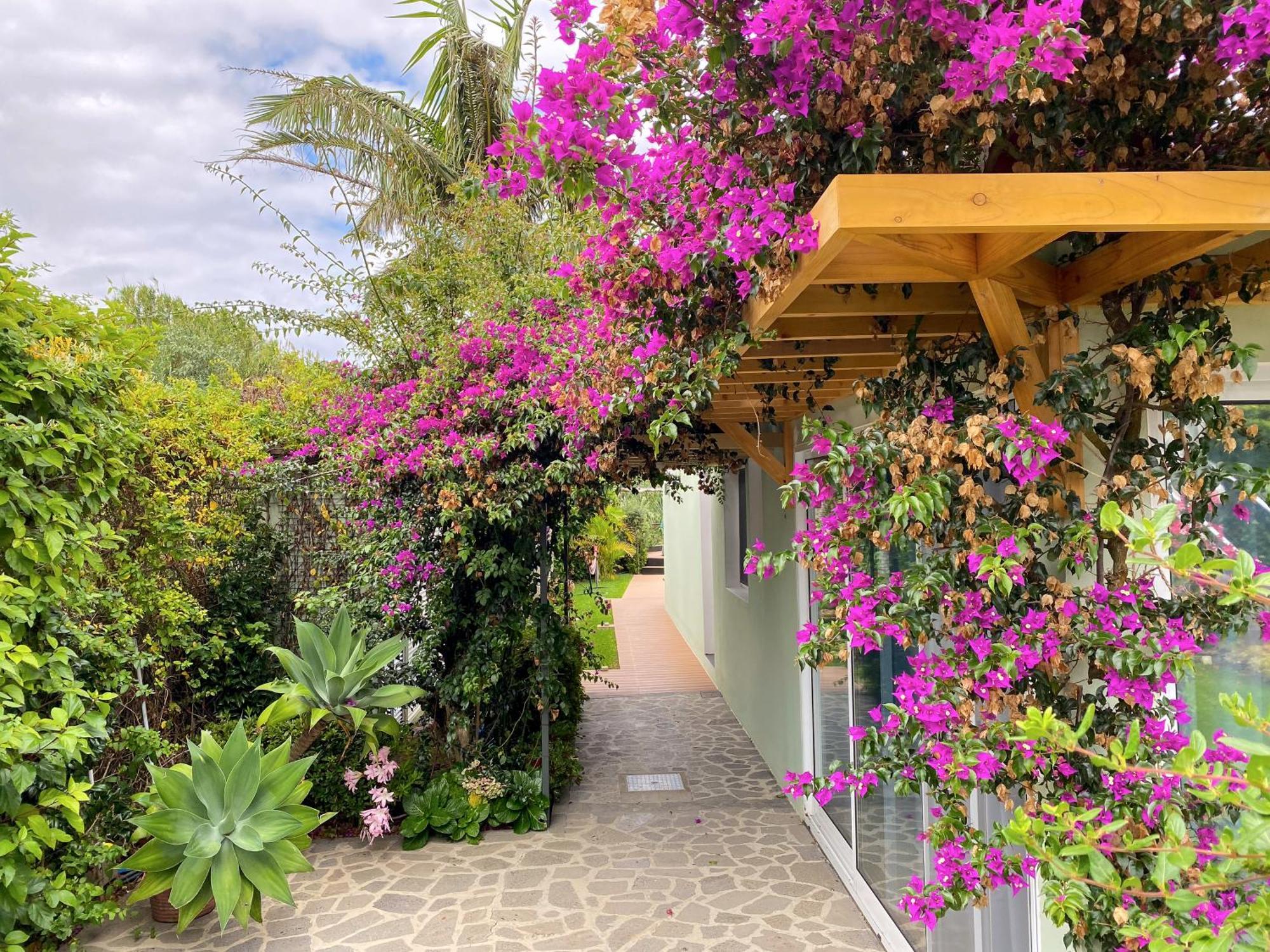 Casa da Ribeira Cottage Ribeira Grande Exterior foto